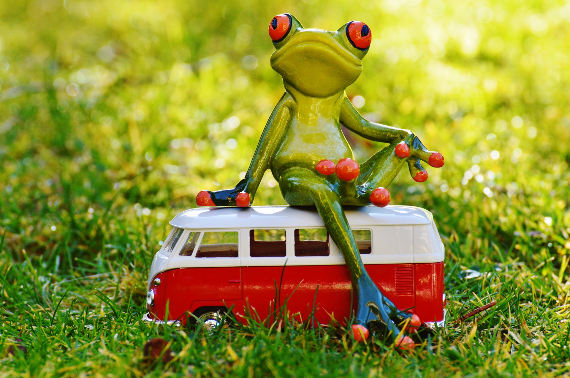 Frog On Bus
