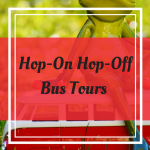 Pinterest Graphic for Hop-On Hop-Off Bus Tours