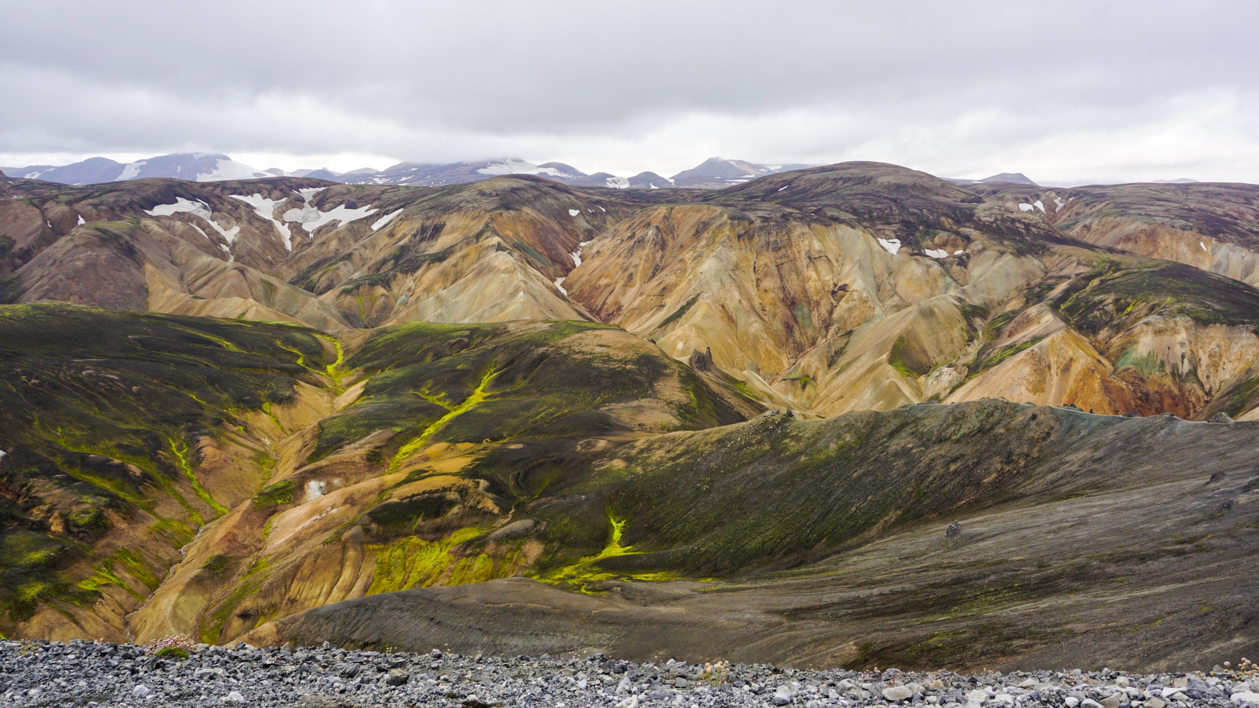 Various shades of green and brown at Landmannalaugar, one of the stops of the Iceland road trip itinerary