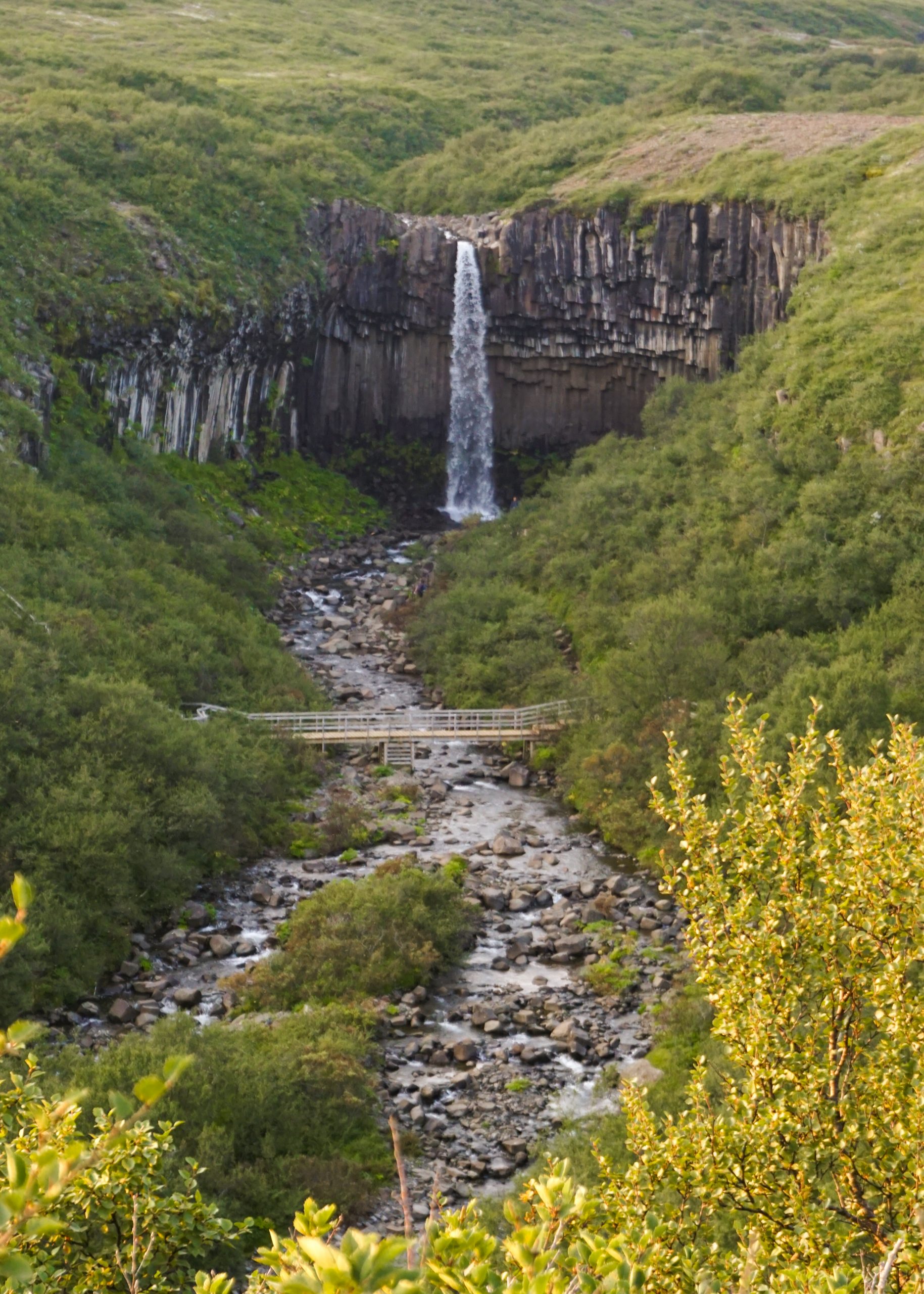 A waterfall during a road trip in Iceland surrounded by columnar cliffs