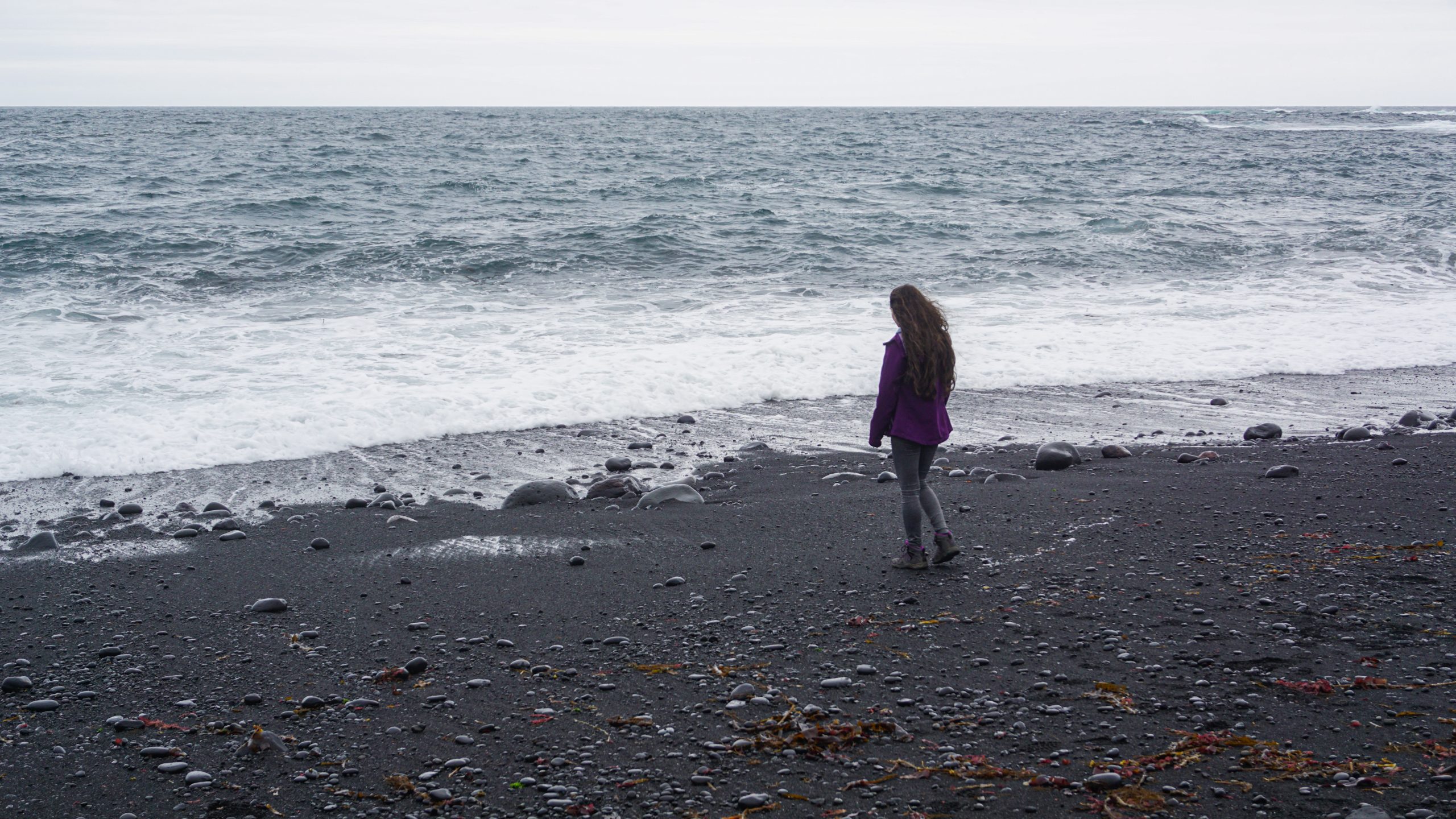 A girl with purple jacket walking towards the waves at a black sand beach in Iceland