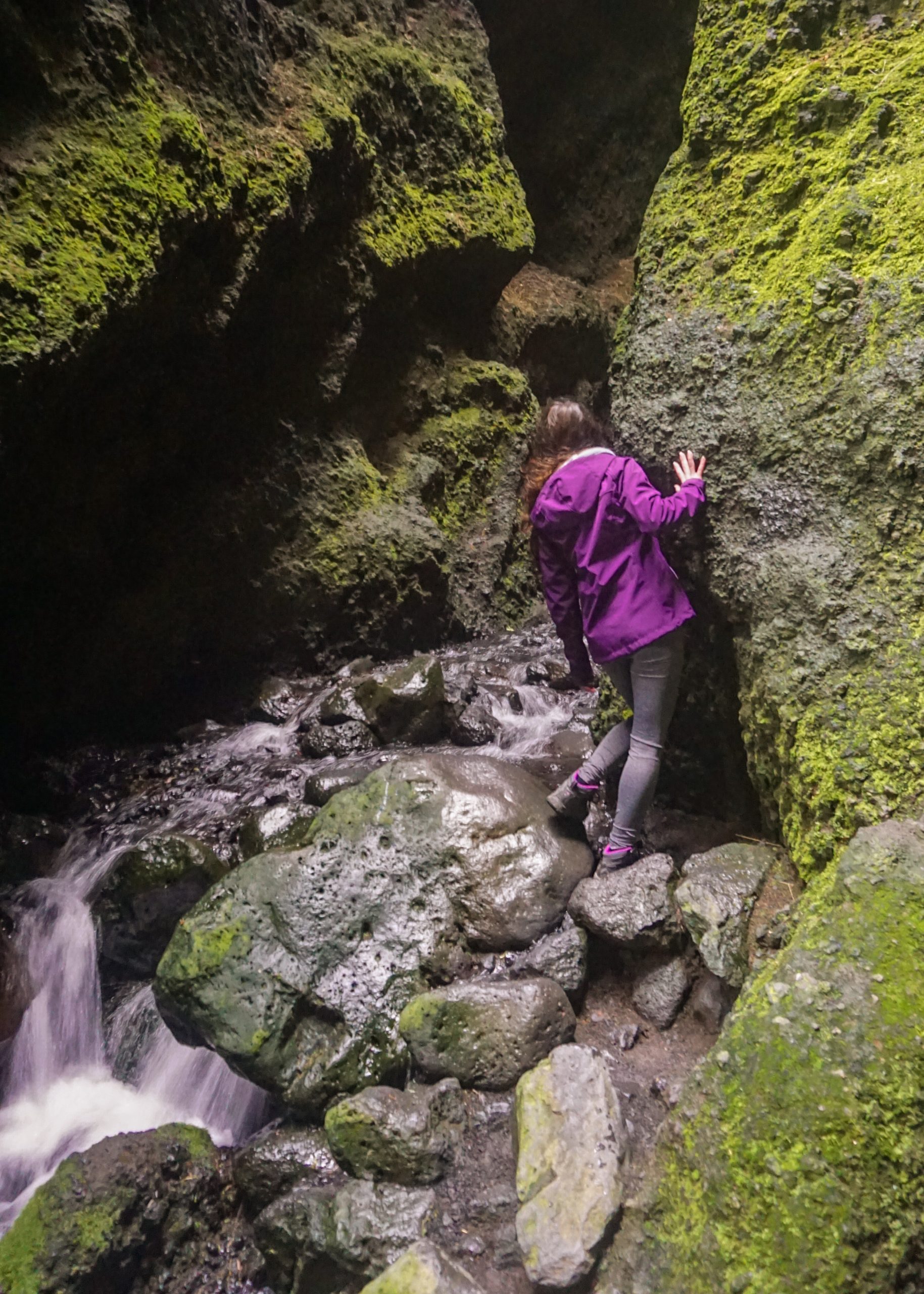 A girl wearing a pink jacket is looking inside a gorge