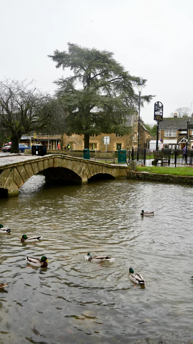 How to spend a day in the Cotswolds

[SAVE FOR LATER]

🌳 Arrive early to beat the crowds at Bourton-on-the Water (for winter arriving at 10/10:30am should be fine).

🌳 Walk around and enjoy the scenert, visit all the cute shops and have a break at one of the cute cafes! We stopped at the Bakery on the Water and had a piece of gingerbread cheesecake!

🌳 Go for lunch at Moreton-in-Marsh (arrive at around 1pm to ensure places are still open for lunch).

🌳 Moreton-in-Marsh is small but don’t forget to have a quick stroll around the main street before leaving.

🌳 Finish your day with an afternoon walk at Stow-on-the-Wold. Arrrive at around 3pm to get a few hours of action before everything closes at 5/5:30pm.

🌳 This slightly bigger village has plenty of cute shops to keep you occupied for a couple of hours and why not stop for some afternoon tea at one of the tea houses and cafés there (we went to Davenford Cotswold Gardens). Note that many close at 4pm but there are some (including the one we visited) that stay open until 5pm.

All three villages are very close to each other so it should be very easy to reach them. Of course there are many more villages in the Cotswolds to visit but these are great for a first time visit in a gloomy and rainy winter day. Note that parking could be a struggle if they are very busy.

Follow @empnefsysandtravel for more travel inspiration!

• - - - - - - - - - - - - - - •

#visitengland #thecotswolds #daytripfromlondon #londondaytrip #exploreengland #visitthecotswolds #bourtononthewater #moretoninmarsh #stowonthewold